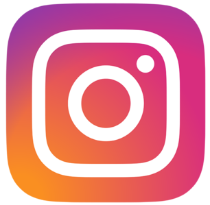 logo instagram pour la page instagram de l'institut de beauté